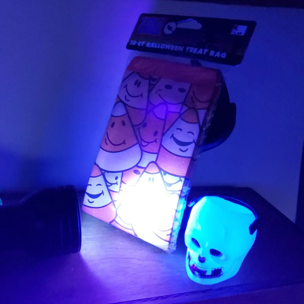 Vintage Holloween Treat Bags Candy Containers
